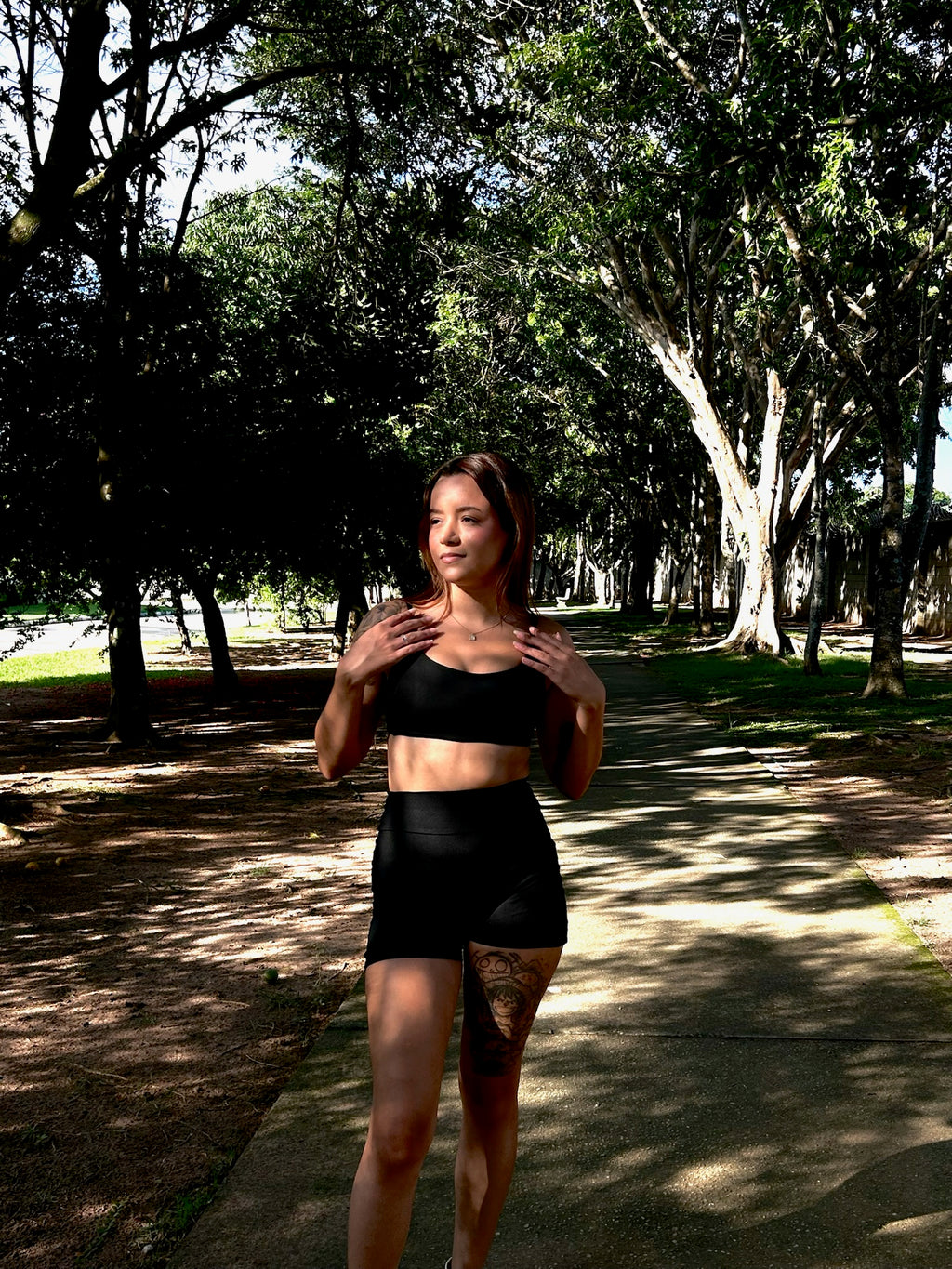 Conjunto SVNH