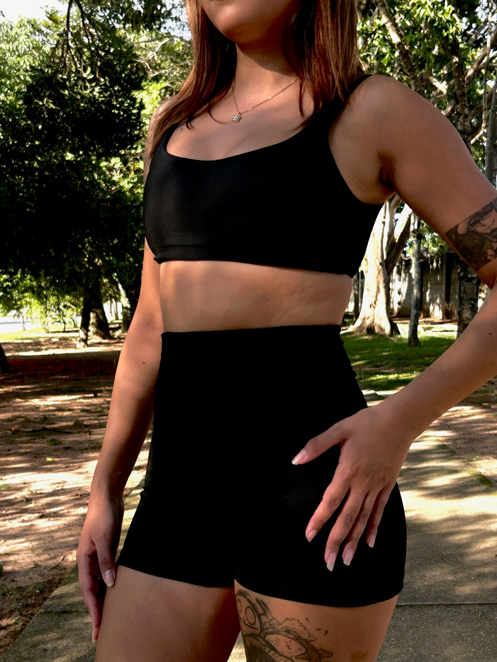 Conjunto SVNH